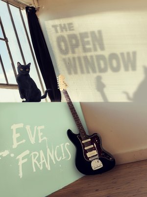 cover image of The Open Window
